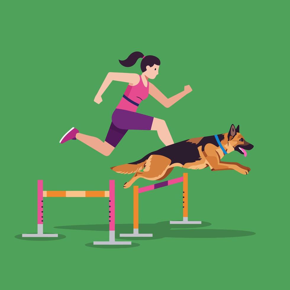 Dog and Woman Jumping Hurdles Together in an Agility Competition vector