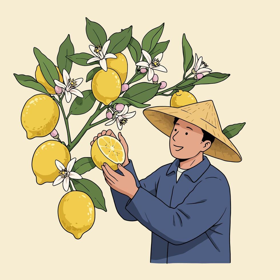 Man Inspecting Lemon Fruit on Tree with Flowers and Leaves vector