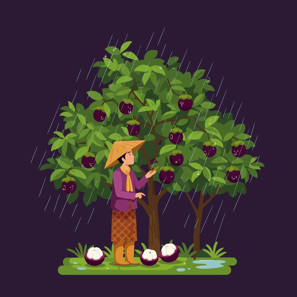 Harvesting Tropical Fruit in Rain Under Tree Asian Farmer Style vector
