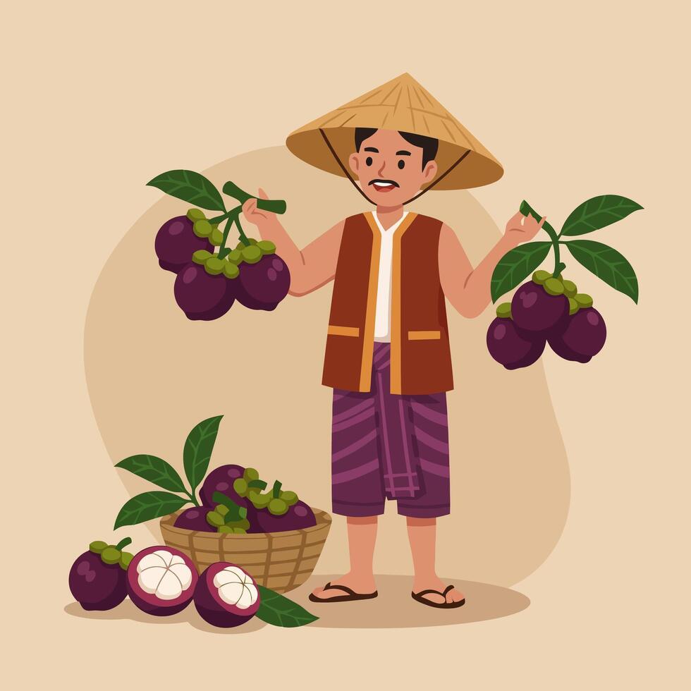 Holding Fresh Mangosteen Asian Farmer with Conical Hat Illustration vector