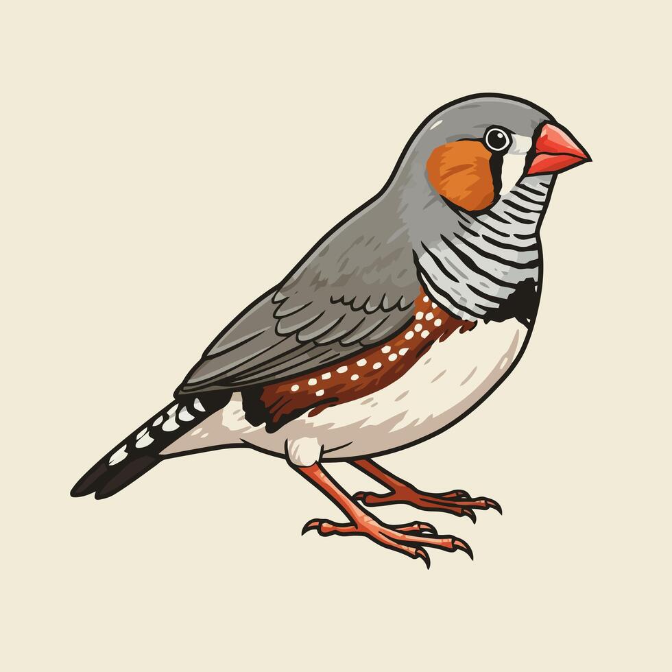 Detailed Zebra Finch Illustration Standing on Beige Background Cute Design vector