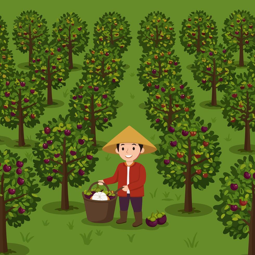 Harvesting Ripe Fruits in Orchard Illustration of Farmer with Basket vector