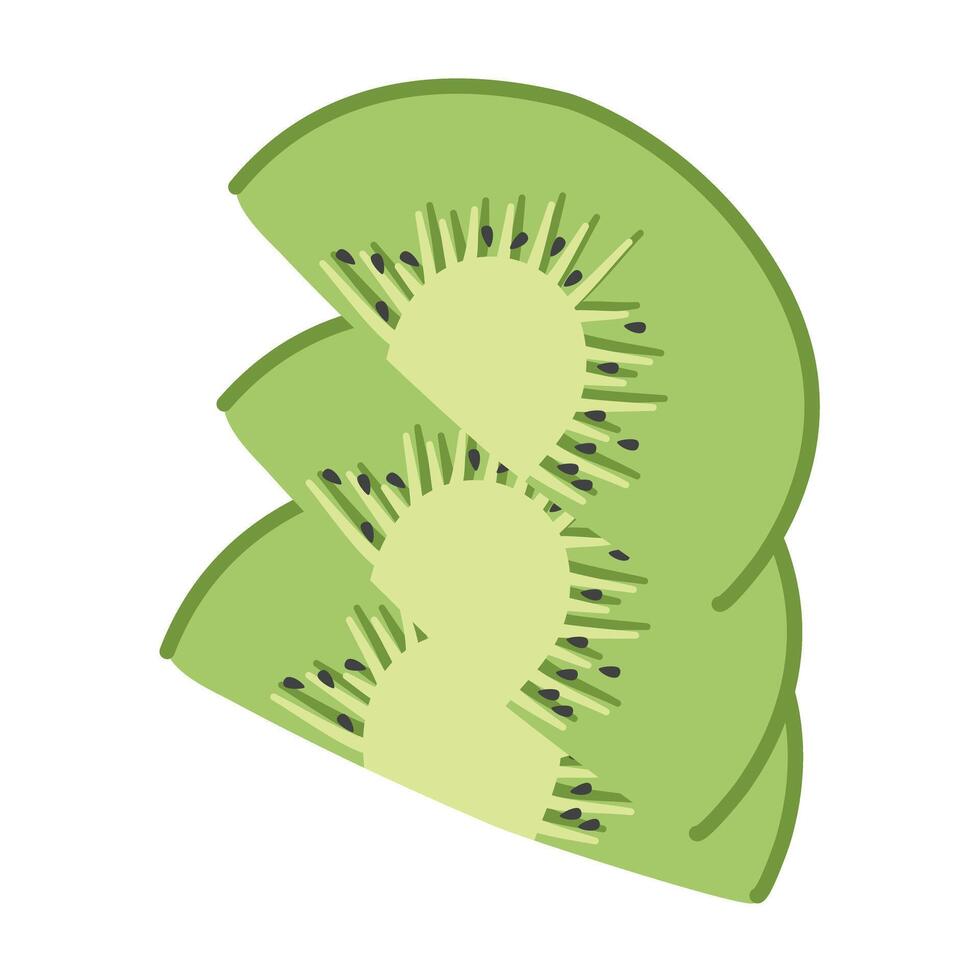 Kiwi Fruit Slice fresh fruit vector