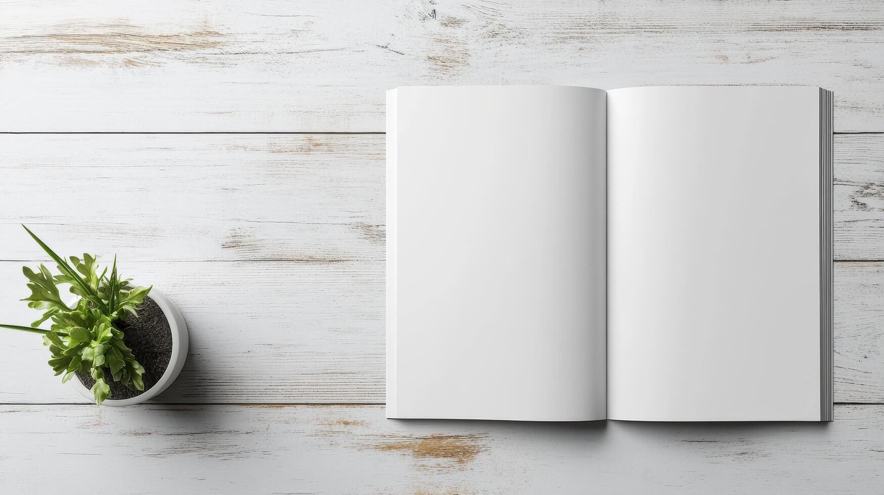 open blank magazine on rustic white table with small plant nearby photo