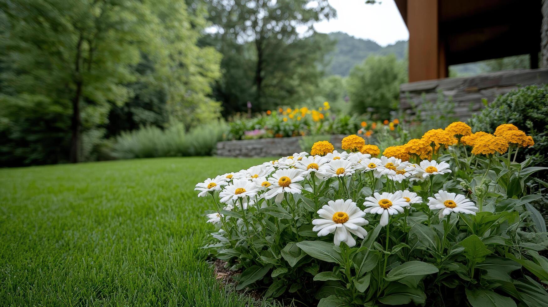 charming garden with vibrant daisies and marigolds in bloom photo