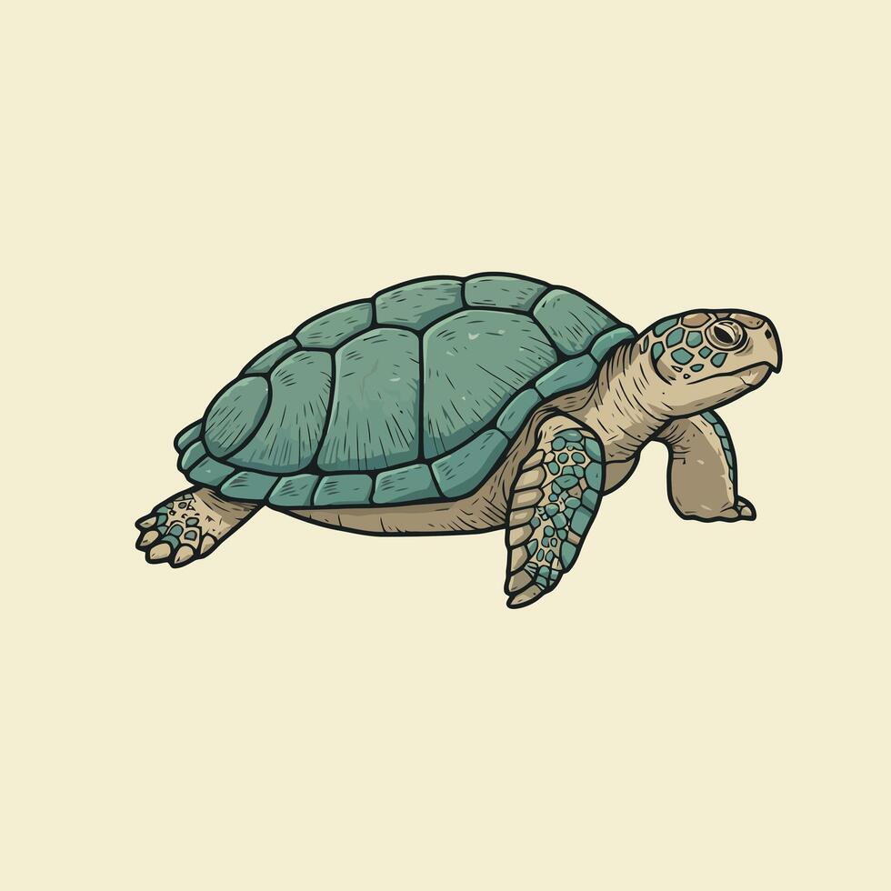 Sea Turtle Swimming Illustration with Teal Shell and Neutral Background vector