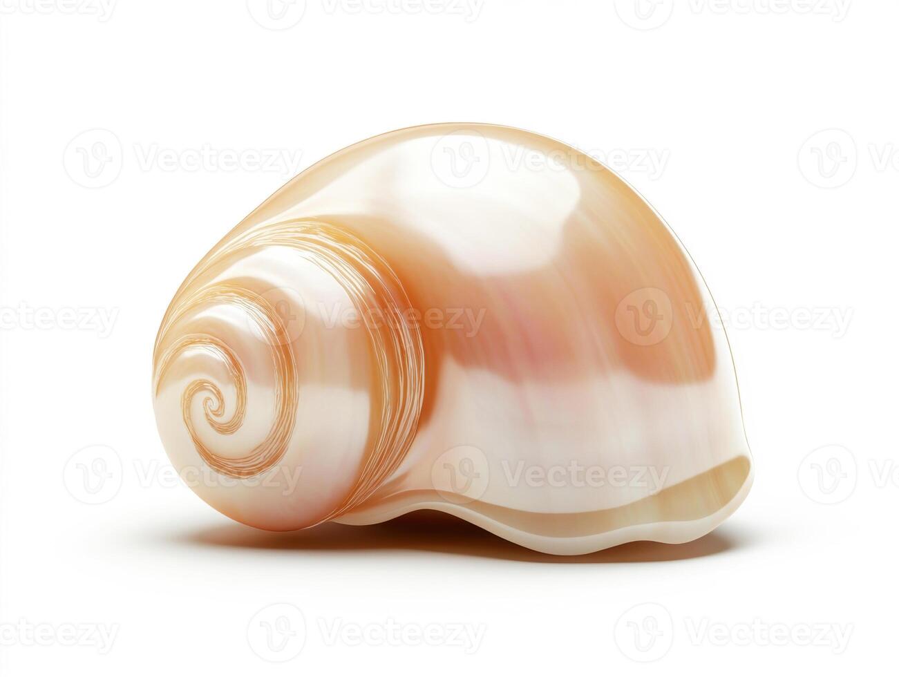 Beautiful natural spiral shell resting on a smooth surface photo
