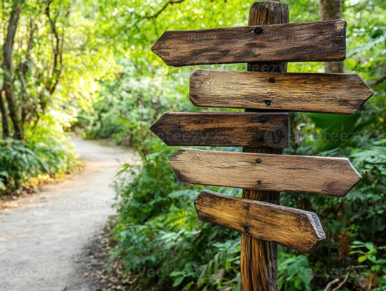Wooden signpost directs hikers on a forest path in nature photo