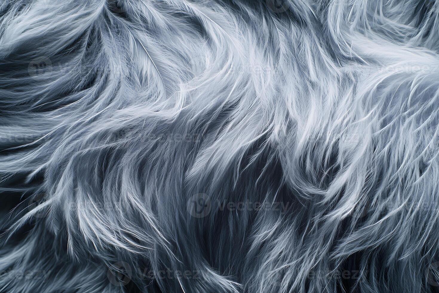 Close-up of Gray Feathers Texture photo