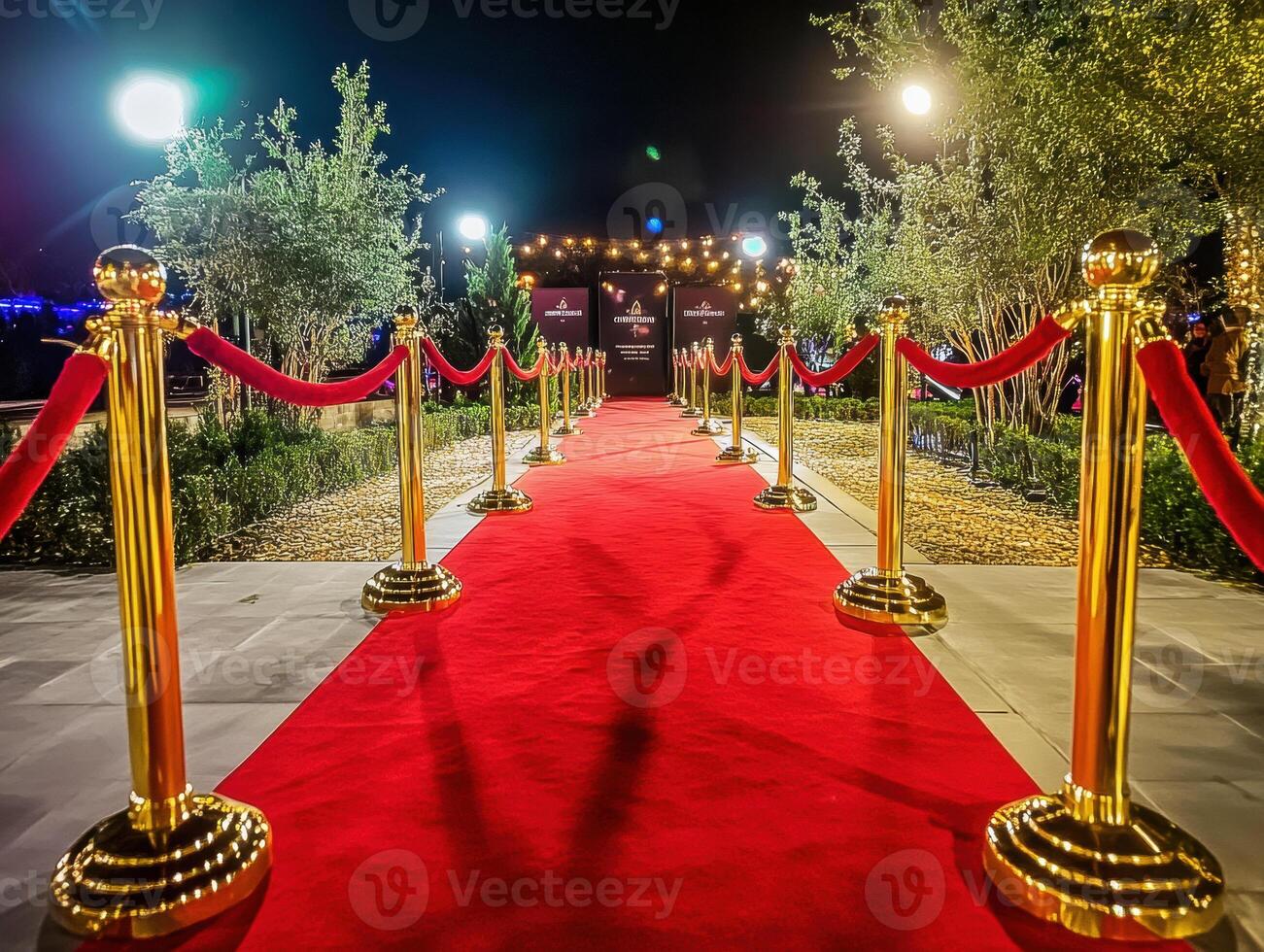 Elegant red carpet pathway leading to a glamorous event venue photo