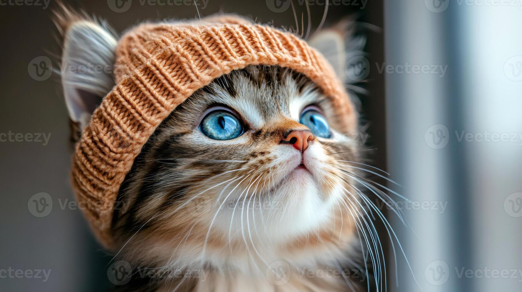 Adorable kitten wearing knitted hat and looking up with curiosity photo