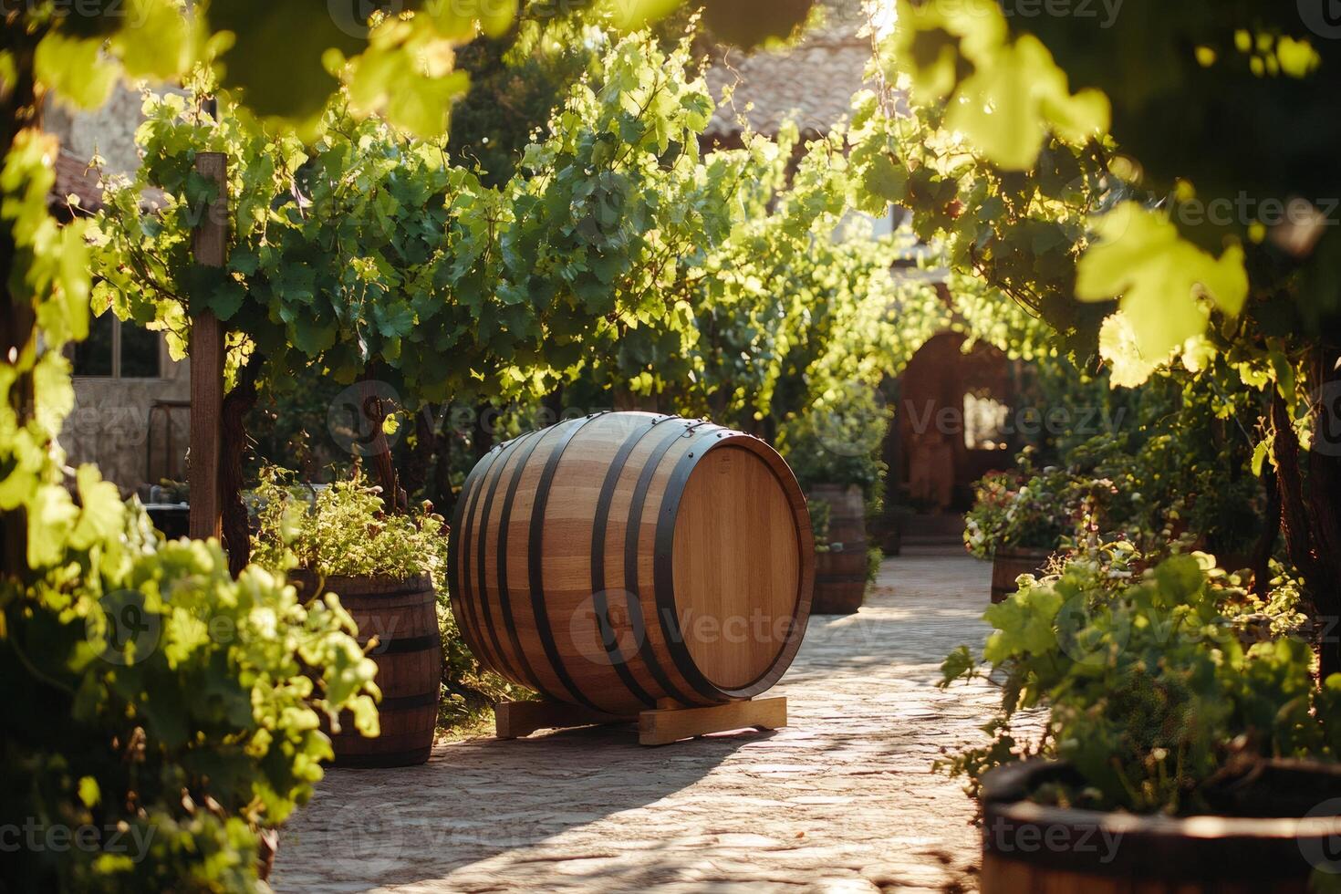 Wine barrel resting in vineyard during golden hour sunlight photo