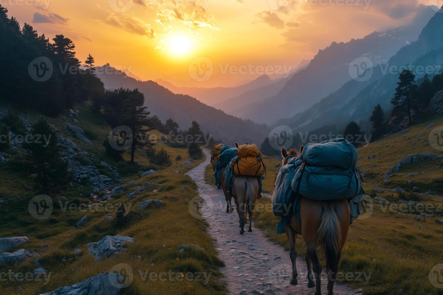 Horses carrying supplies walking on a mountain path at sunset photo