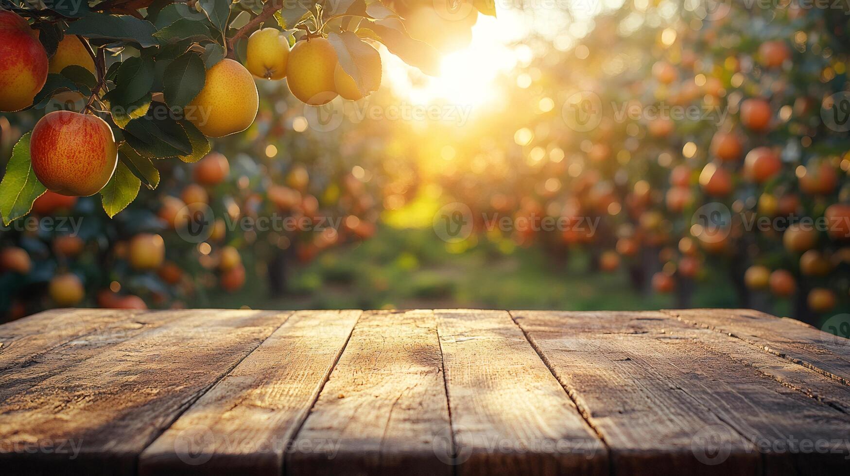 Empty wooden table in apple orchard during golden hour sunset photo
