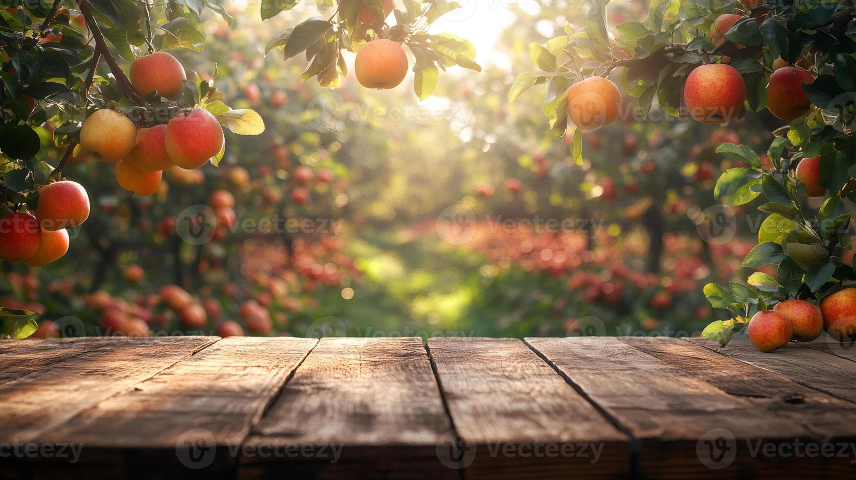 Empty wooden table in apple orchard with ripe apples hanging on branches photo