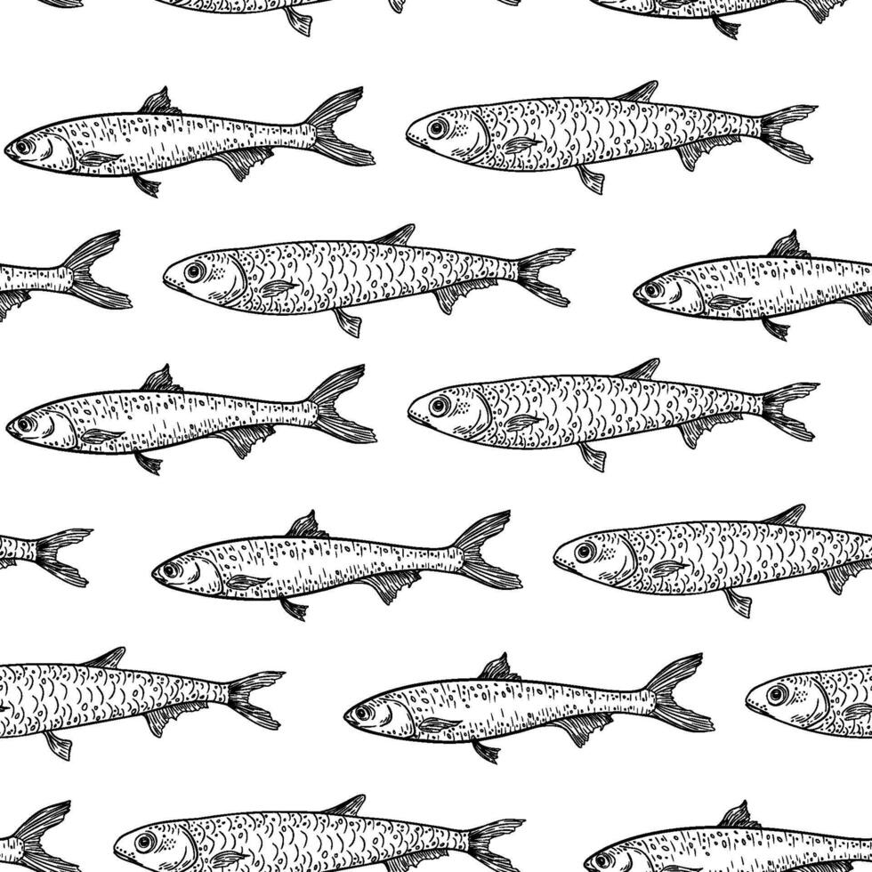 Sardine black white seamless pattern. Monochrome school fish repeat background. Sprat, herring, and anchovy by engraving hand drawn. Sea fishes ink drawing for packaging, and marine design. vector