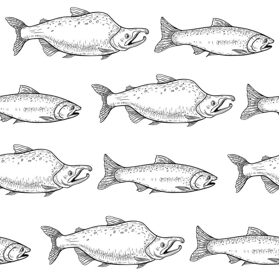 Trout black white seamless pattern. Hand drawn salmon, nerka, and sockeye fish in vintage engraving style. Monochrome repeat background for fabric, packaging, wrapping paper, and marine decor. vector