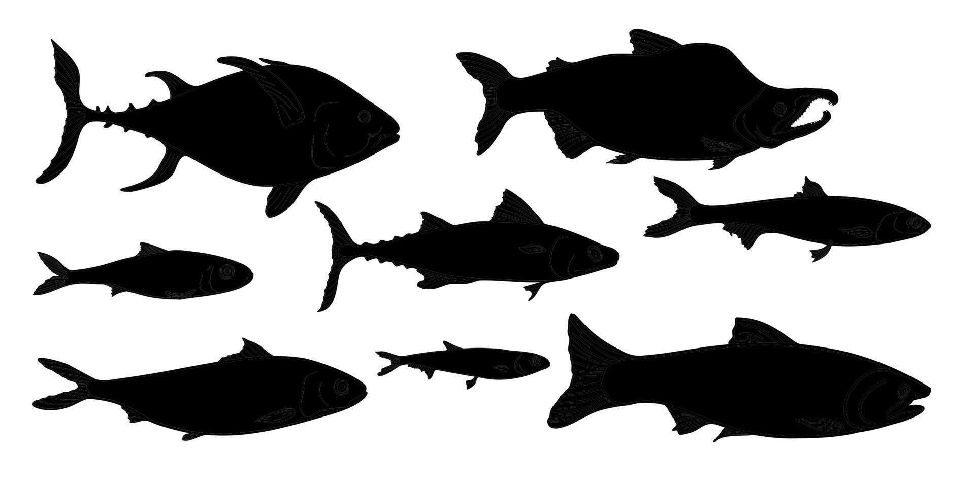 Black silhouette fish set of salmon, tuna, mackerel illustration on white. Group fishes sardine, anchovy hand drawn. Sea fish hand painted outline monochrome. Element for package, label. vector