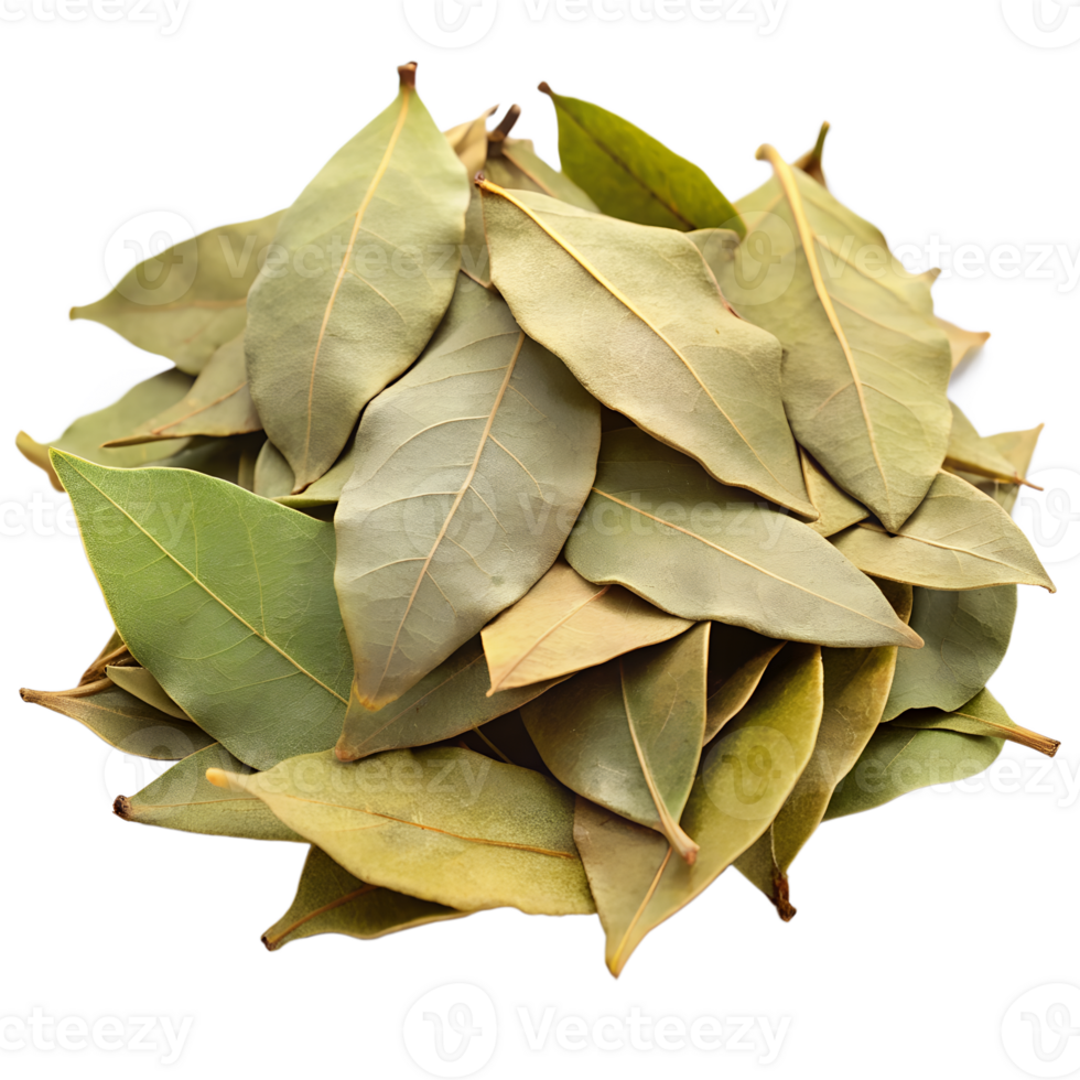 Aromatic Dried Bay Leaves Pile for Cooking and Flavoring png