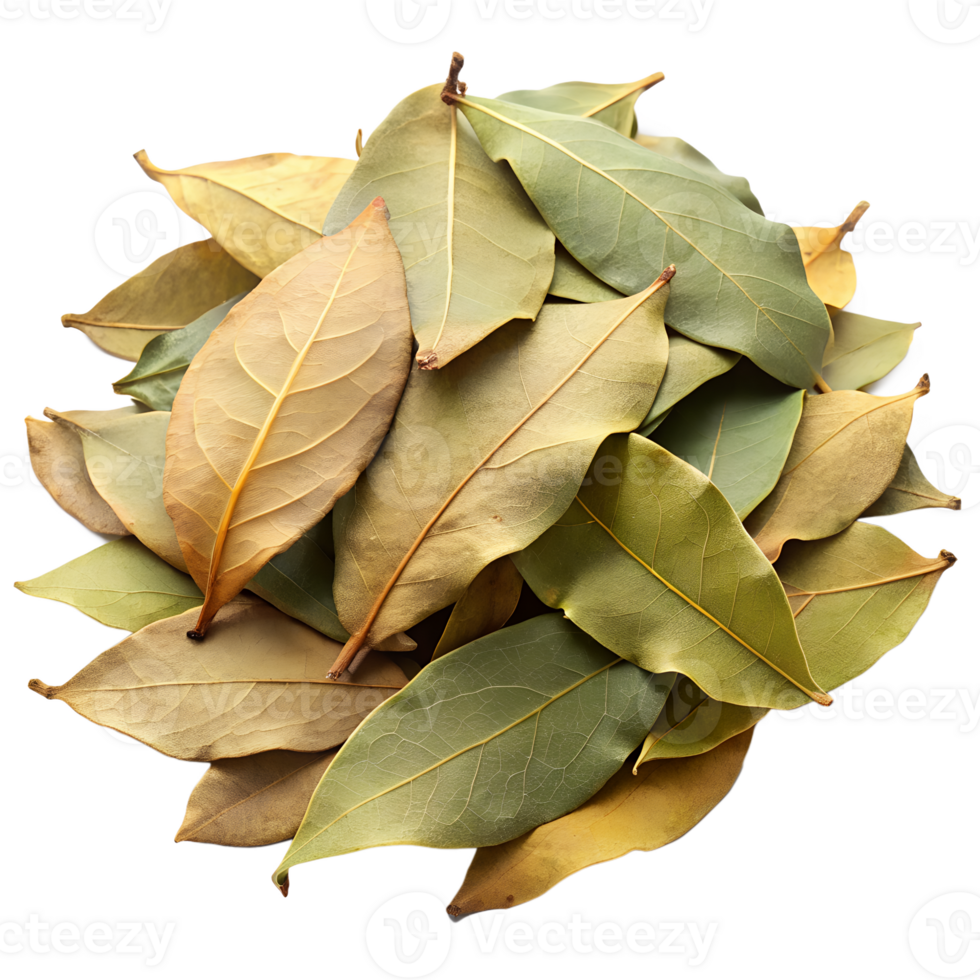 Aromatic Dried Bay Leaves Pile for Cooking Herb Seasoning png