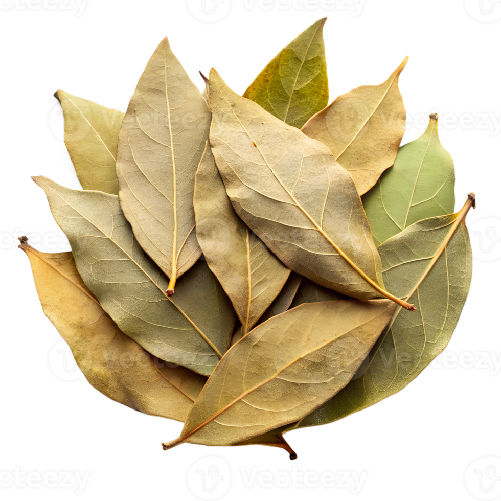 Aromatic Dried Bay Leaves Ready for Cooking Culinary Herb Spice png