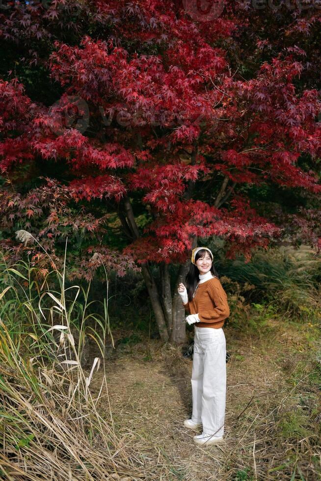 Asian woman enjoys the fall outdoors, adorned in a fashionable sweater. A pretty and cheerful portrait capturing the vibrant essence of nature. photo