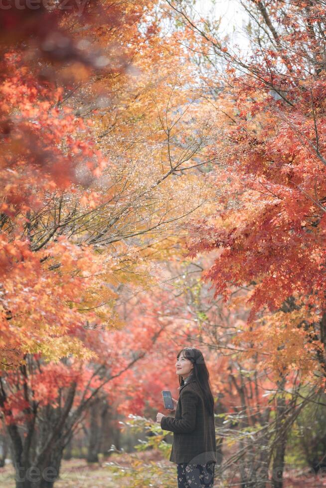 A woman standing in the middle of a park with red trees photo