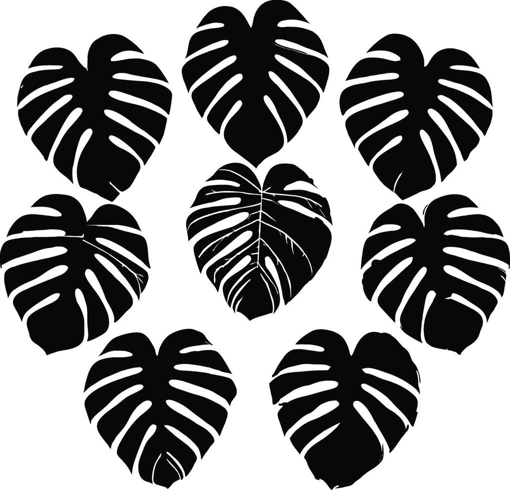 Eight Black Monstera Deliciosa Leaves Arranged in a Heart Shape Pattern on White Background Botanical Print Tropical vector