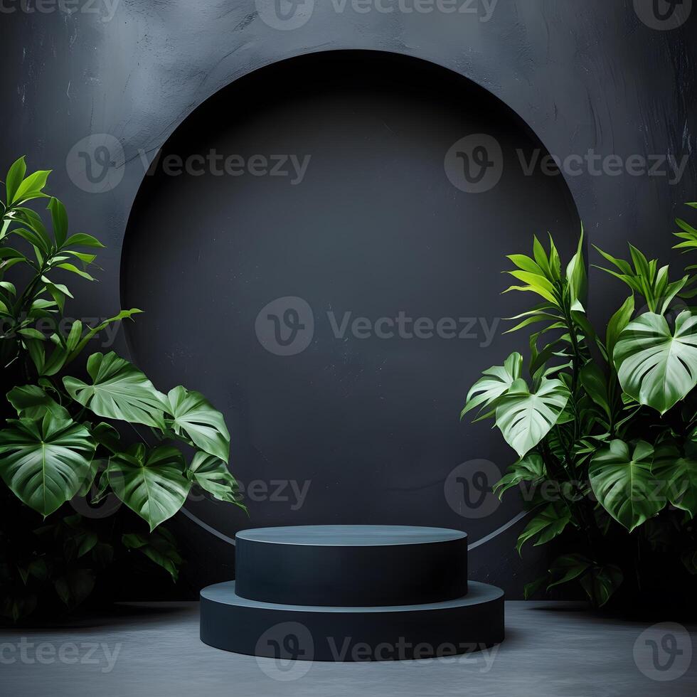 Black circular stage with plants and a circular hole photo