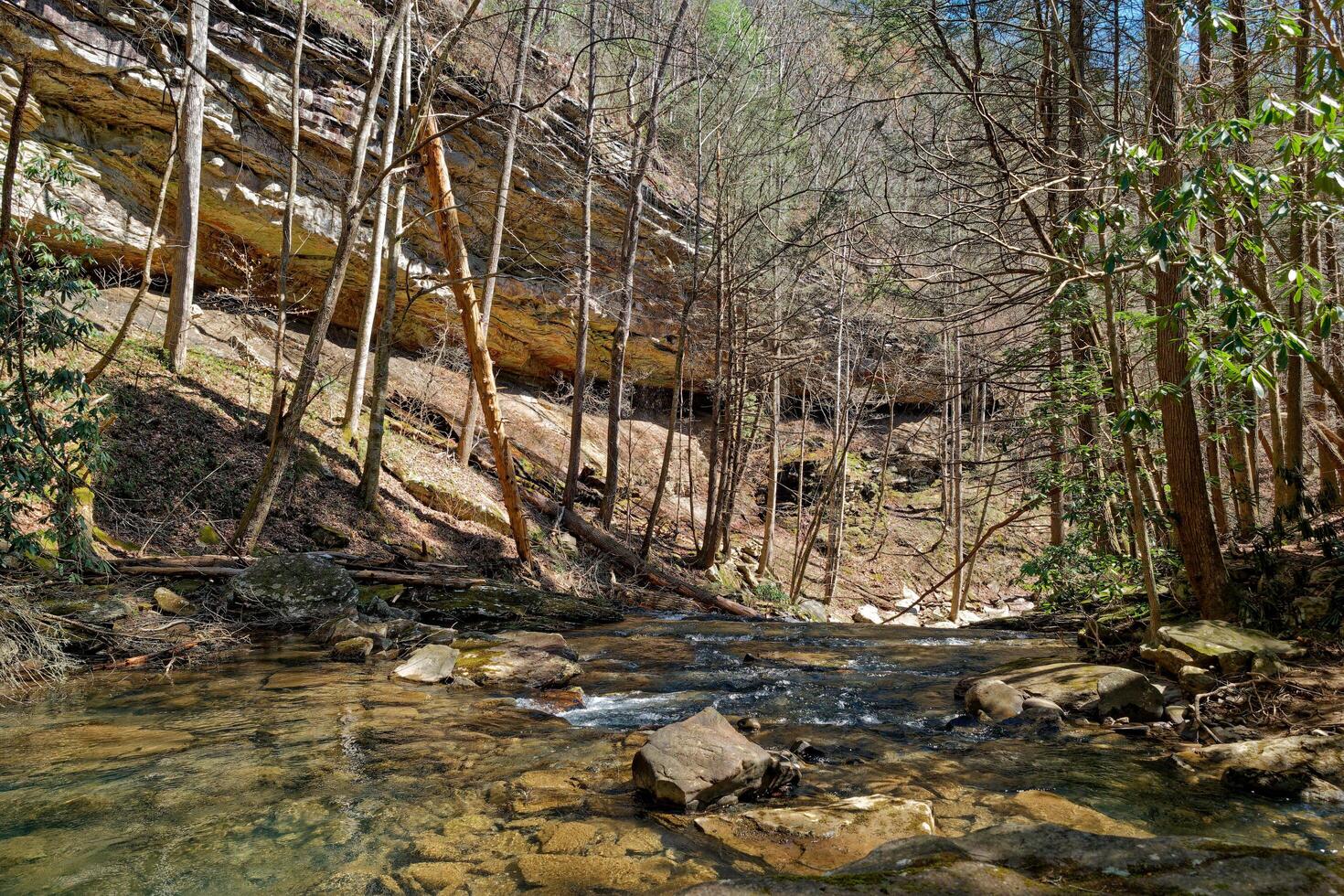 Downstream through the canyon photo