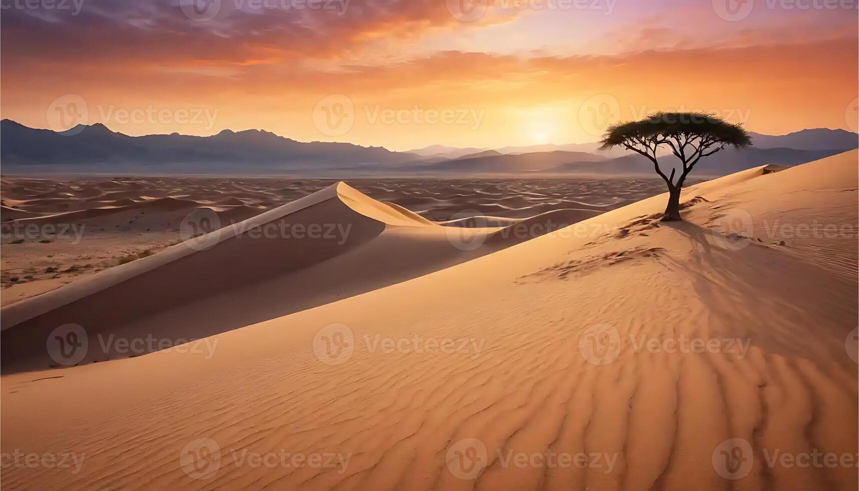 Lone Tree on Desert Dune at Sunset with Mountains in Background photo
