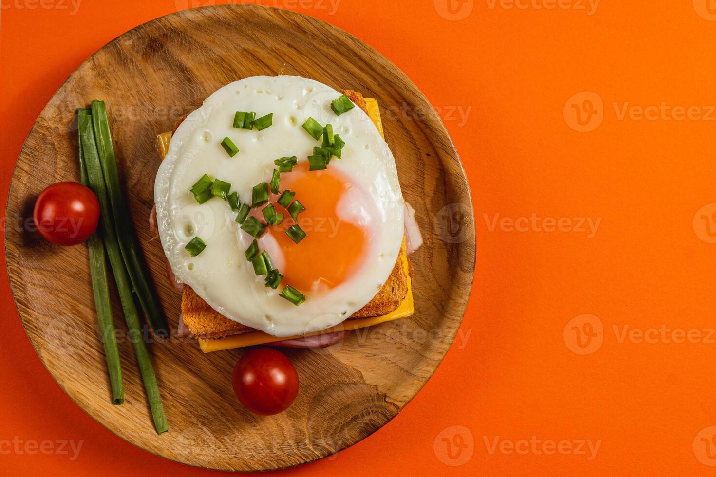 Sunny side up egg on toast with cherry tomatoes and green onions photo