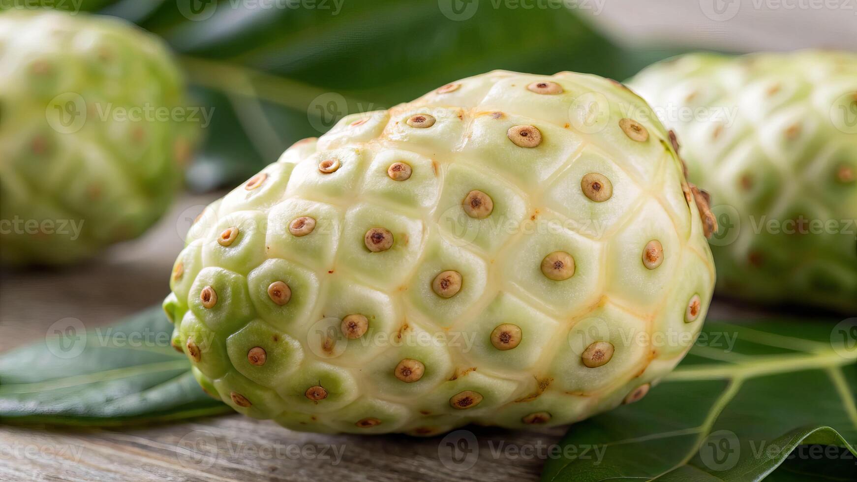 Close up of freshly harvested noni fruit tropical farm macro photography lush green environment natural concept photo