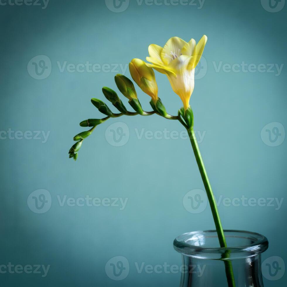 Tranquility Floral in Yellow Tranquility Floral in Yellow