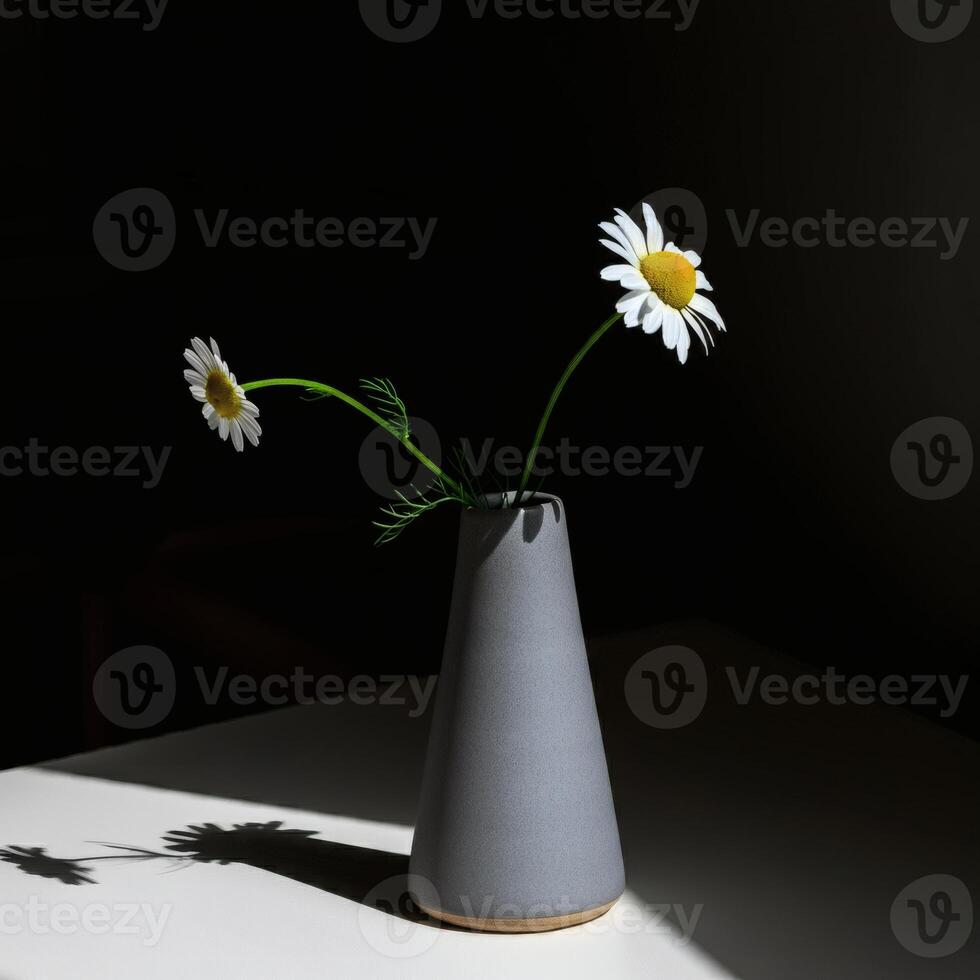 A single white daisy in modern dark gray ceramic vase illuminated by moody lighting, creating an elegant and artistic still life composition photo