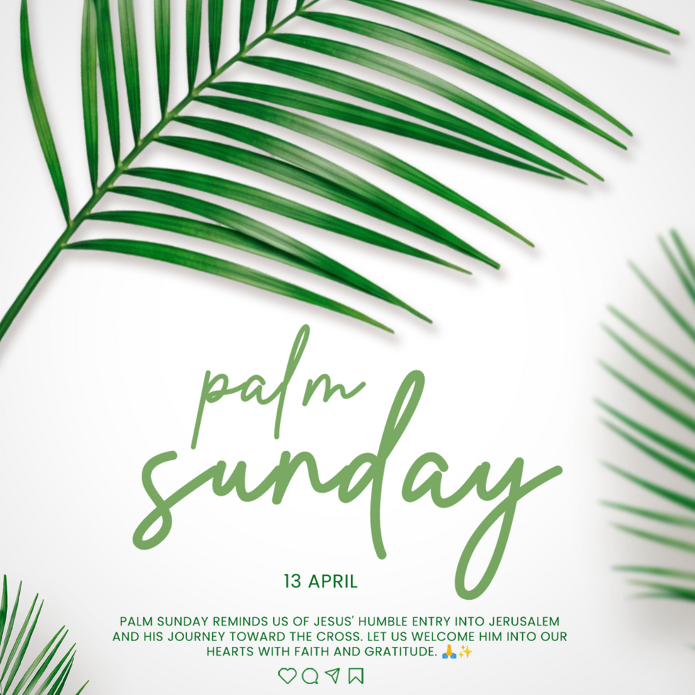 Palm Sunday Advertisement Poster Design Palm Sunday Celebration Greeting Post psd