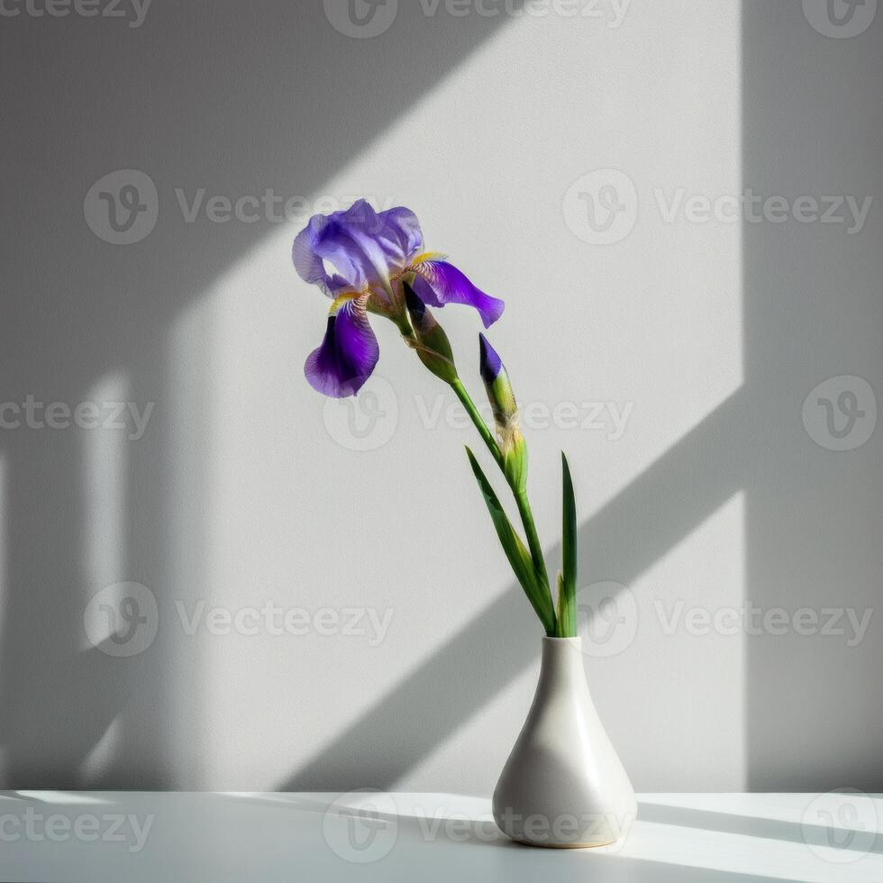 A striking purple iris in minimalist ceramic vase, dramatically lit to create a moody and artistic still life composition photo