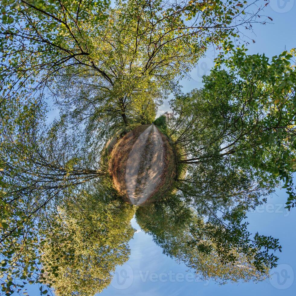 A small planet with trees and sky photo