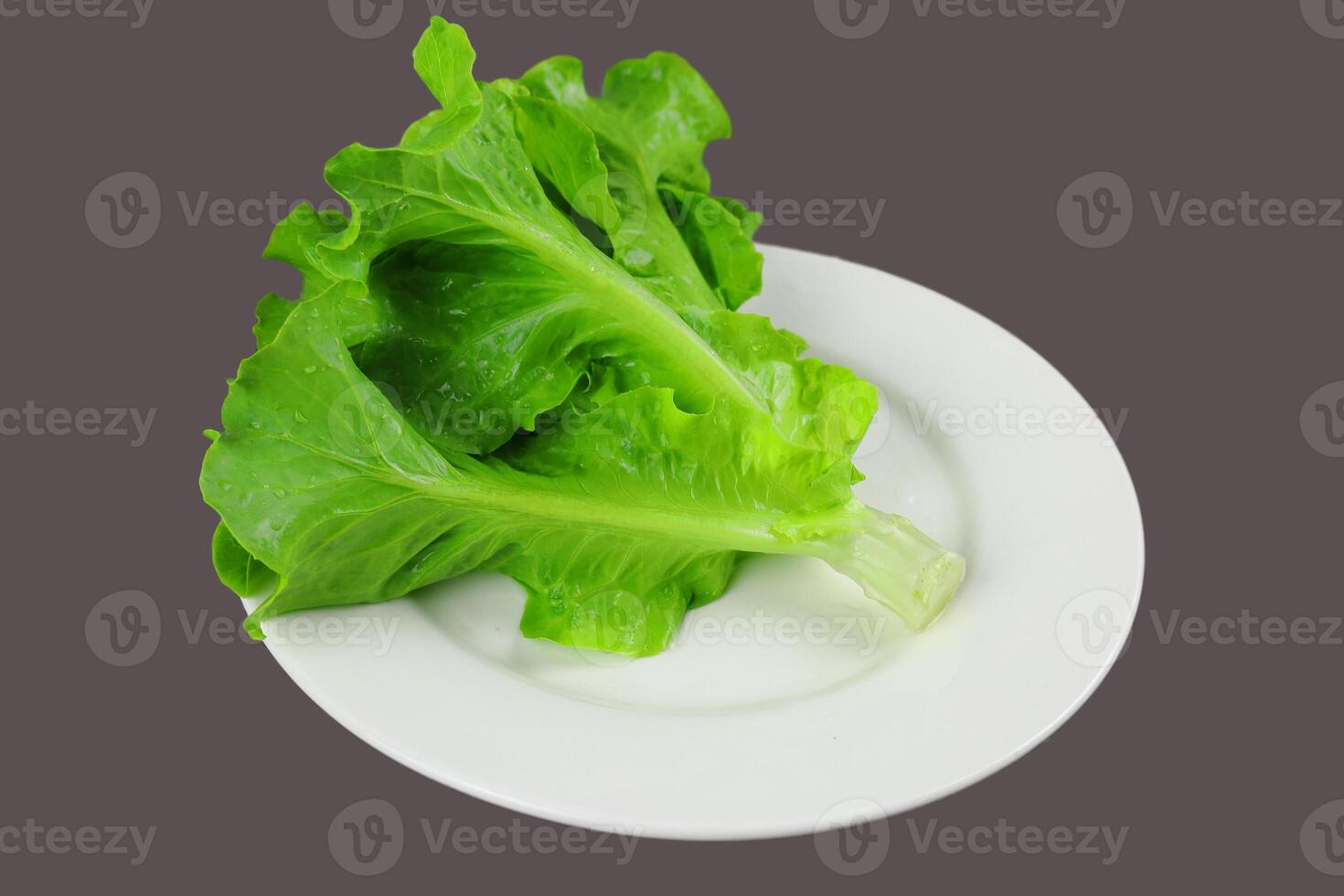 organic green lettuce plant on white plate in transparent background isolated view photo