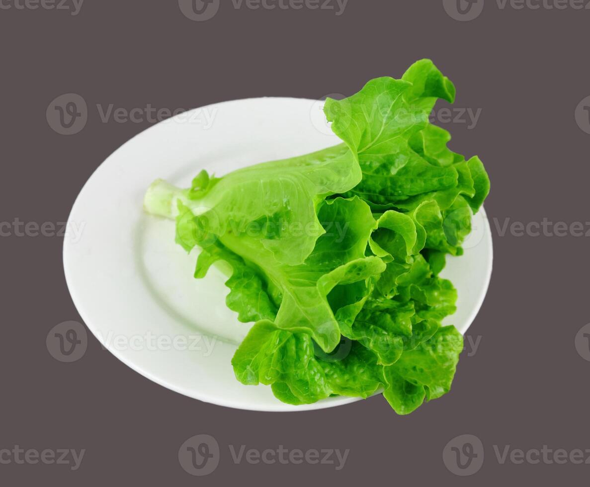 organic green lettuce plant on white plate on clear background 1 photo