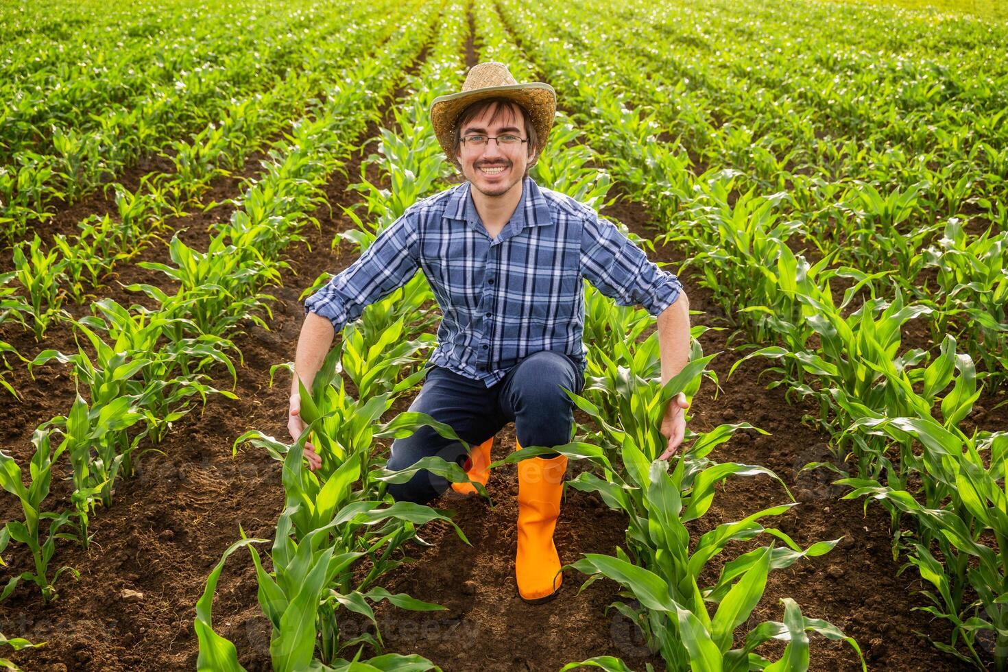 Portrait of happy farmer who is cultivating corn. He is satisfied with progress of plants. photo