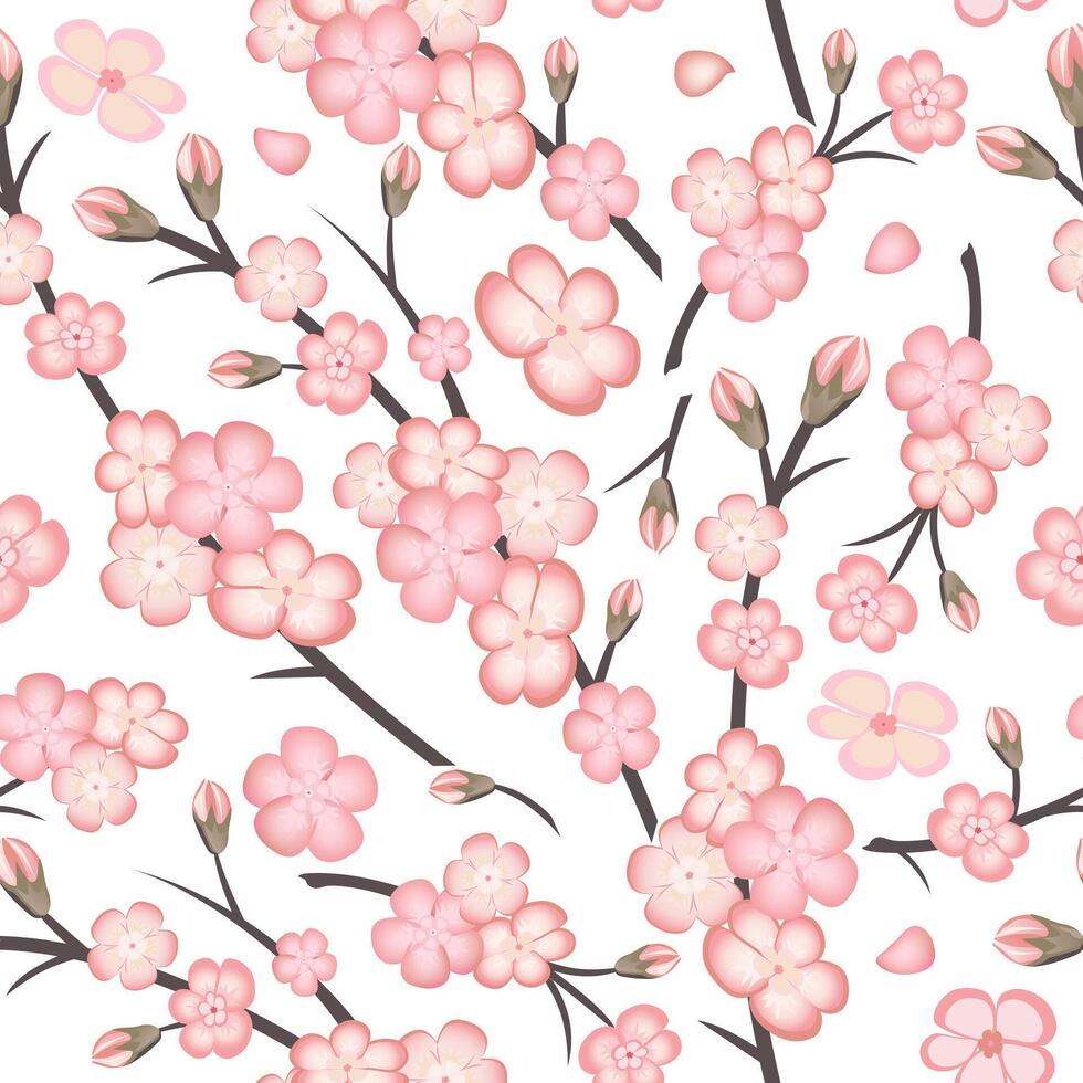 Spring seamless pattern with sakura branch flowers on white background. Pink flowers of Japanese cherry, or apple flowers. vector