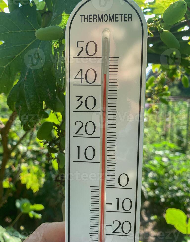 Thermometer Showing High Temperature in Green Garden photo