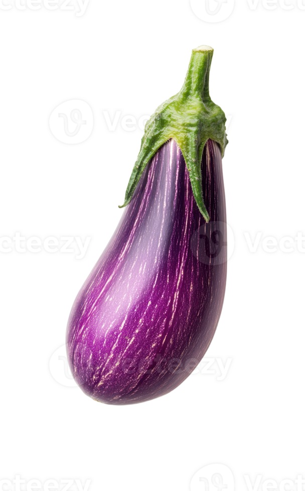 Purple and striped eggplant on a transparent background ready to be added to your designs Fresh vegetable ready for cooking png