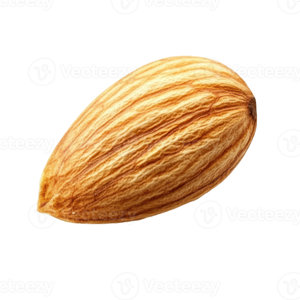 A single whole almond with detailed texture and light tan coloring isolated against a clean dark background Focus on food photography png