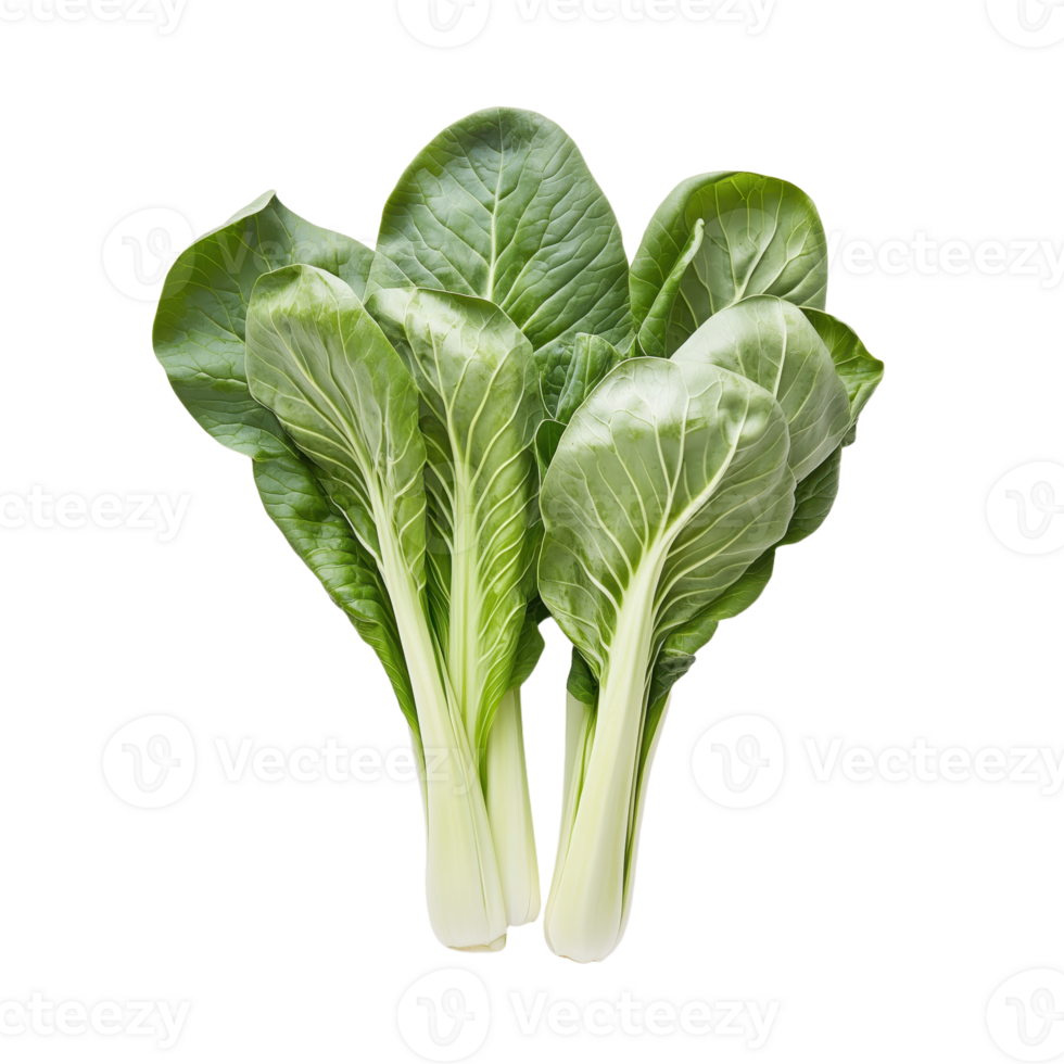 Vibrant green chard with crisp leaves and pale stems isolated on a ideal for healthy cooking and culinary concepts png