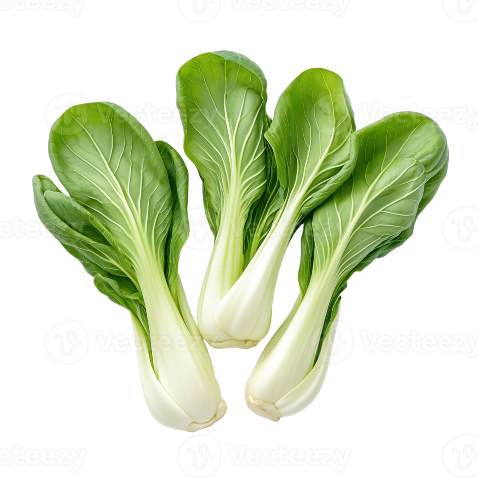 Fresh bok choy Crisp green leaves and a healthy choice for stir-fries soups and salads A vibrant vegetable on a transparent background png
