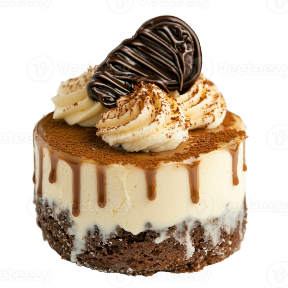 A delectable mini-cake with layers of creamy filling chocolate drizzle and delicate whipped cream rosettes dusted with cocoa powder png
