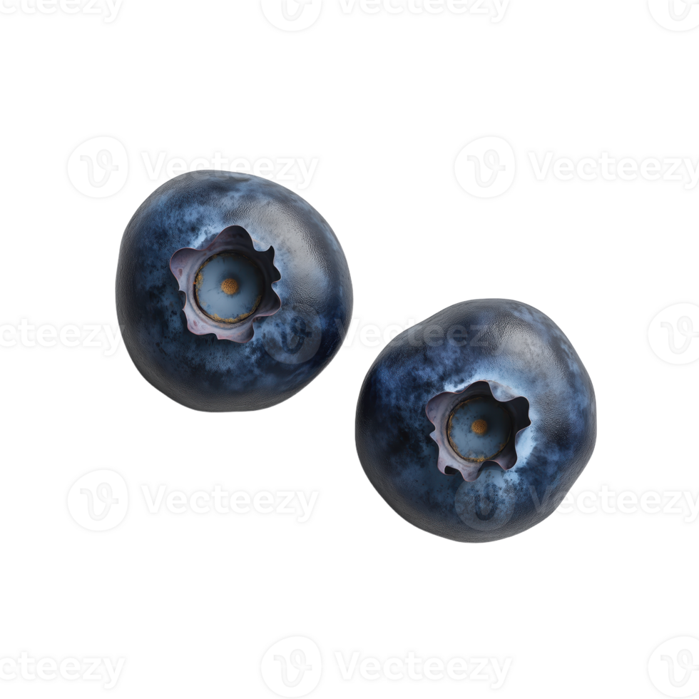 Two ripe blueberries with a blue-purple color and crown shape on top against a transparent background perfect for use in designs png