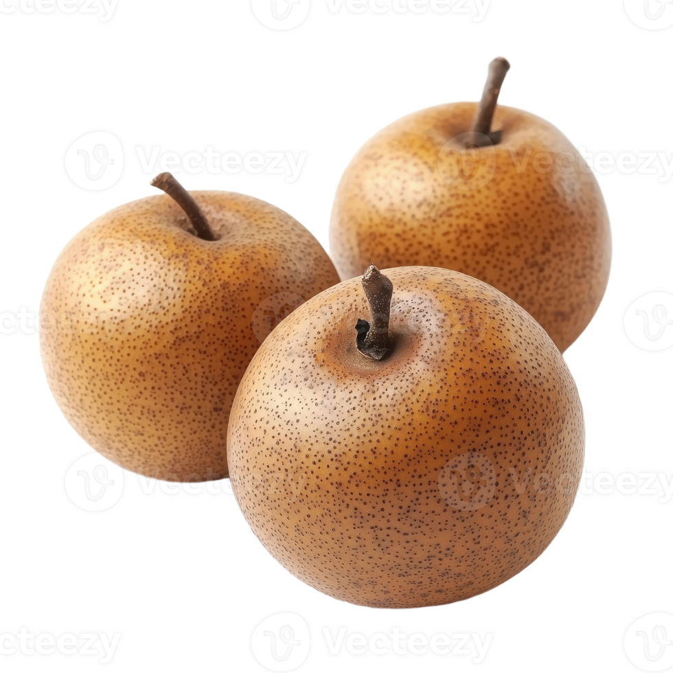 A trio of vibrant Asian pears showcasing their distinctive bronze speckled skin and inviting freshness Isolated on a transparent canvas png